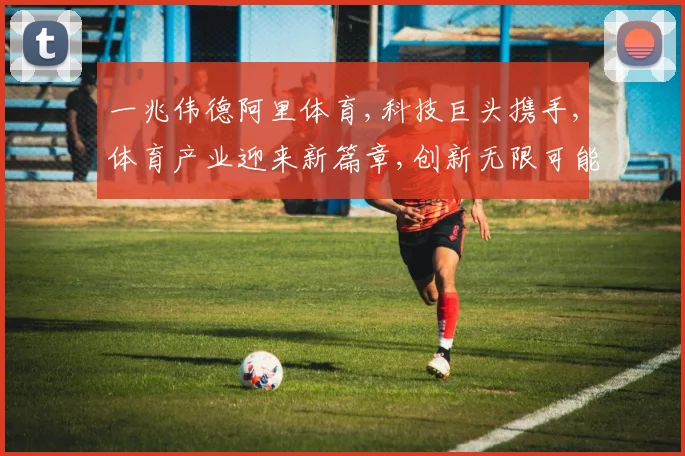 一兆伟德阿里体育,科技巨头携手,体育产业迎来新篇章,创新无限可能。