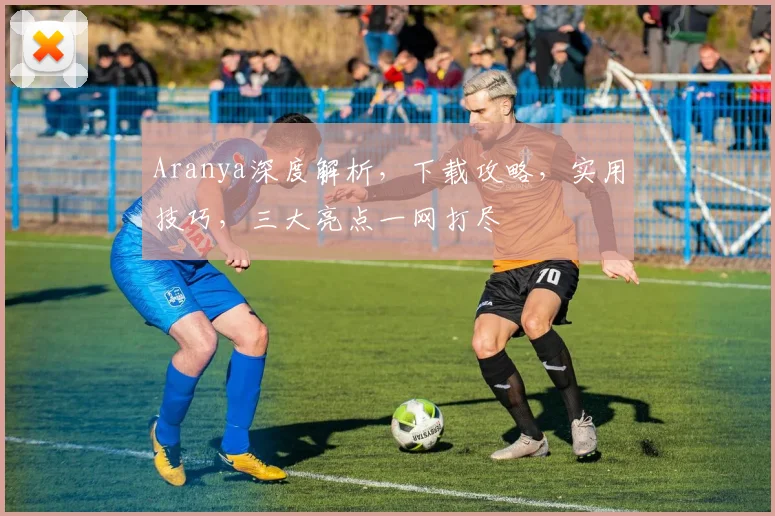 Aranya深度解析，下载攻略，实用技巧，三大亮点一网打尽