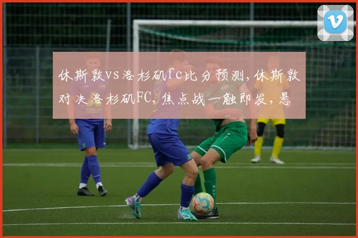 休斯敦vs洛杉矶fc比分预测,休斯敦对决洛杉矶FC,焦点战一触即发,悬念重重
